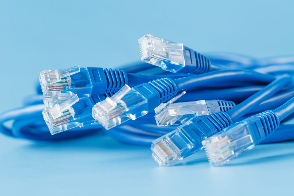 A coil of blue network patch cables with clear plug ends on a pale blue background